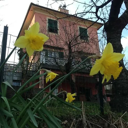 Kokopelli Frühstückspension *