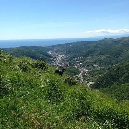 Kokopelli Gênes